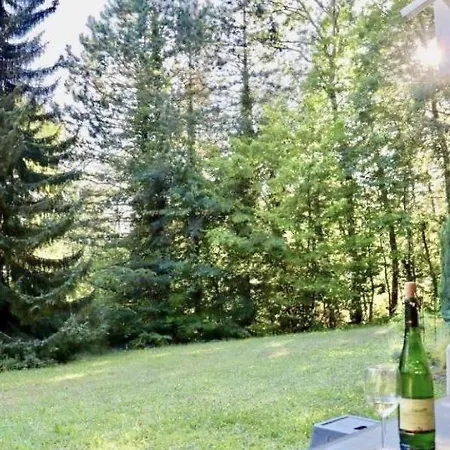 Appartement Elzas Ii *